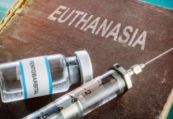 Еуропаның тағы бір елінде эвтаназия процедурасына ресми рұқсат берілді