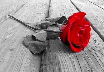 ЖҰПАР ИІСТІ АДАМ (болған оқиғаның ізімен)