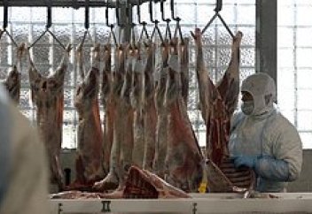 Ресей бір елге халал өнімдер экспортын күрт арттырды