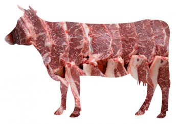 Сиыр етін тұтынуға заң жүзінде тыйым салынатын болды