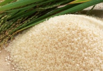 КҮРІШТІҢ ЖАҢА ТҮРІ – «АЙСӘУЛЕ»