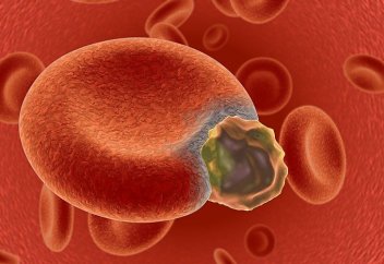 Қанның қатерлі ісігінің жасушаларын зиянсыз ететін тетік табылды