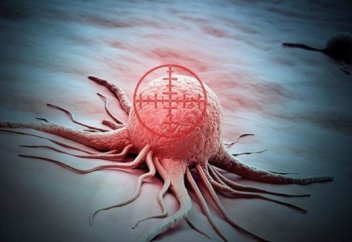 Отказ от этого вида харама предотвращает рак