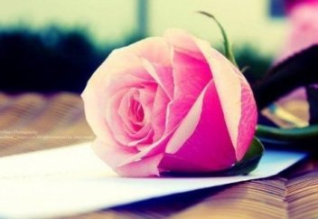 Өмір аялдамасы..