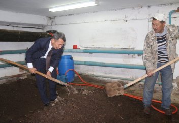 Қызылордалық ғалым топырақтың құнарын арттыратын жауынқұрт өсіріп жатыр (фото)