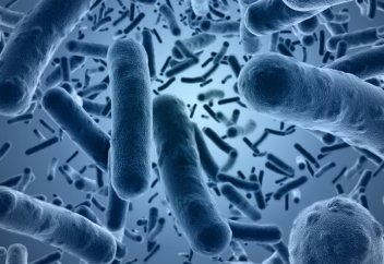 Антибиотикті антидәрумен алмастыруы мүмкін