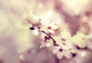 Дочь Умара ибн аль-Хаттаба досточтимая Хафса (да будет доволен Аллах ими обоими)