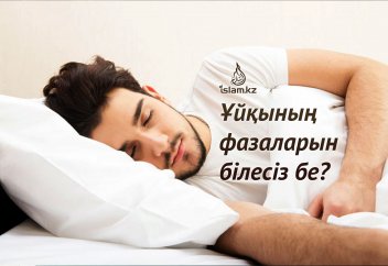 Ұйқының фазаларын білесіз бе?