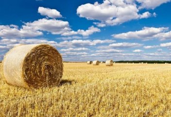 Қазақстан сабаннан электр қуатын өндіретін болады