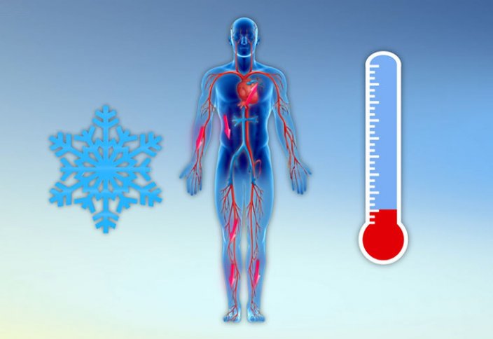 Учёные нашли взаимосвязь между холодом и уровнем смертности