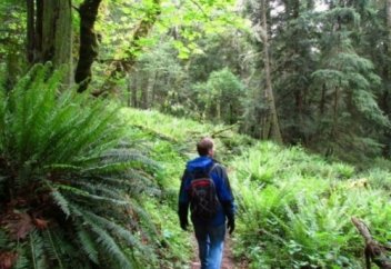 АДАСҚАНДА АМАН ҚАЛУДЫҢ ОН ТӘСІЛІ