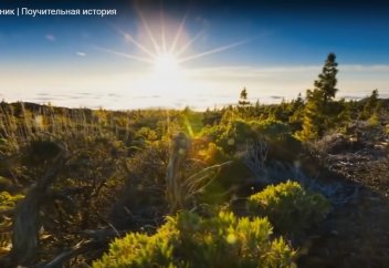 Шайтан и путник