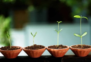 Ауаны сутегіге айналдыратын жасанды жапырақ жасалды