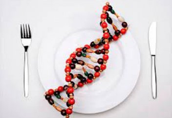 Тағам адам генін өзгерте алады