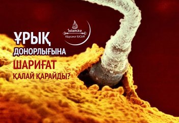 Ұрық донорлығына шариғат қалай қарайды?