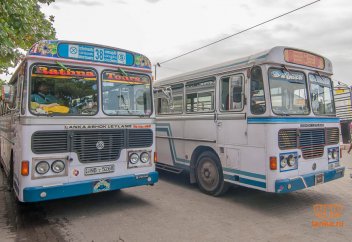 Будда елінде тек бірыңғай әйелдерге арналған қоғамдық көлік