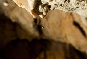 Әлемде қанша адам мышьяк қосылған су ішіп отыр?