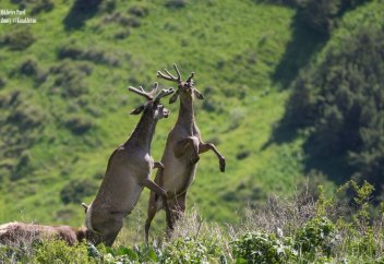 Казахстанский фотограф победил на конкурсе National Geographic Kazaqstan