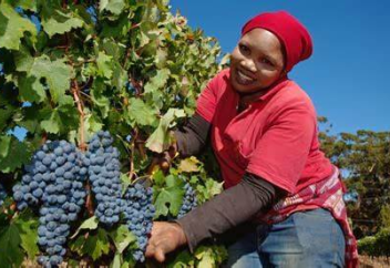 Еуропалық ел құжаты жоқ мигранттарға елде тұруға және жұмыс істеуге рұқсат берді