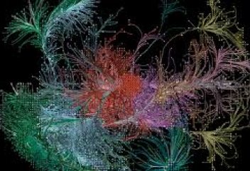 Ми жасушаларының қартаю процесін тежеудің амалы табылды