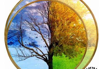 Откуда берется кислород зимой? Ведь деревья скидывают листву…