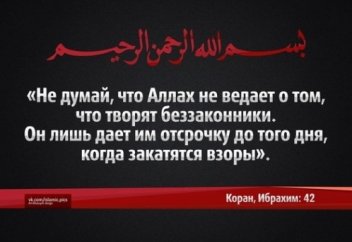 Судья, который не берёт взятку