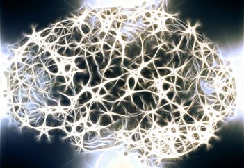 Жаңа нейрон желісін жарықтан қалыптастыру туралы бастама көтерілді