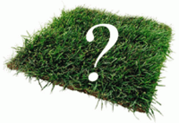 Жалға берілетін жер аумағының ең жоғары мөлшері қалай белгіленеді?