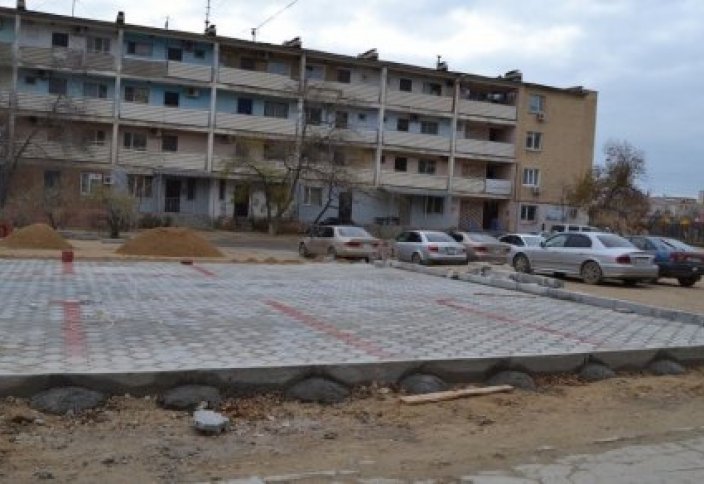 На стене дома в Актау сфотографировали неизвестное насекомое (фото)