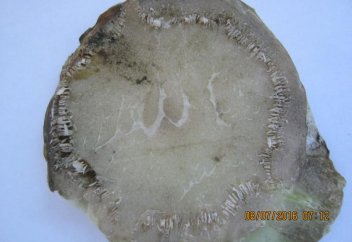 Айт күні Алланың аты жазылған орамжапырақ табылды (ФОТО)