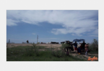 "ШАБДАЛЫ" / Көркем фильм /