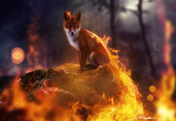 Будущие пожары угрожают 4 400 видам во всем мире