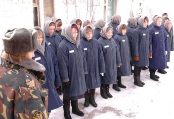 Әлем бойынша түрмеде қанша нәзікжанды жазасын өтеп жатыр?