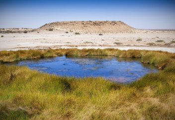 Елімізде тұзданған жер көлемі ұлғайып барады