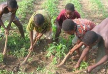 Мавританские дети страдают из-за нехватки знаний