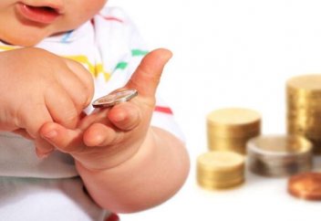 Балалар жәрдемақысының тек балаларға арналған тауарлардың сатып алынуы заңмен қадағаланады