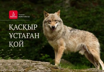 Қасқыр ұстаған қой