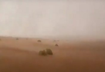 Арабтар ерледі: шөл далаға жасанды жаңбыр жаудырып жатыр (видео)