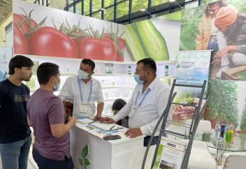 Разные: В Узбекистане запускают теплицы пятого поколения