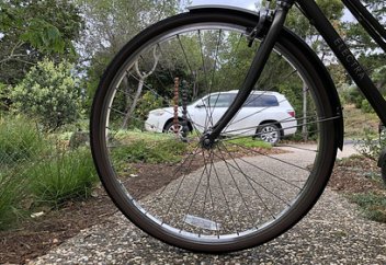 Раскрыто влияние пандемии на климатическую катастрофу