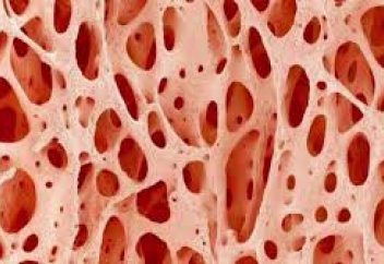 Адамның майын адамның сүйегіне айналдыратын тәсіл (видеосы орысша)