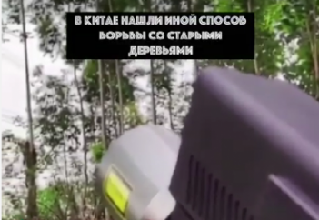 В Китае нашли иной способ борьбы со старыми деревьями