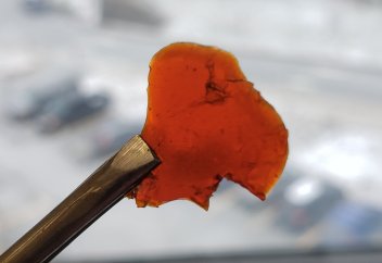 Химики сделали экологически чистый пластик из рыбных отходов