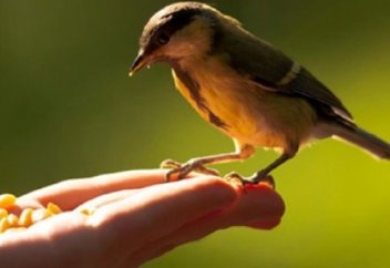 Жақсы болам десеңіз жақсылықты ниет ет!