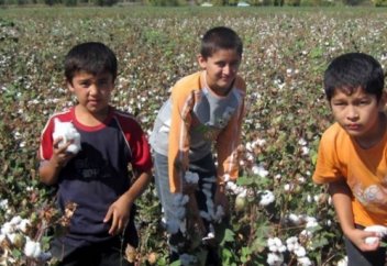 Баланы еңбекке баулу оның құқығын бұзу болып табыла ма?