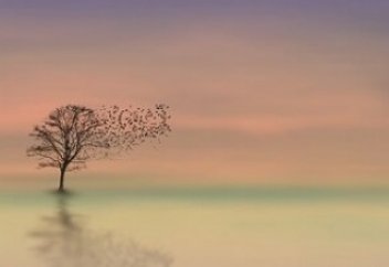 О пробуждении и лжи