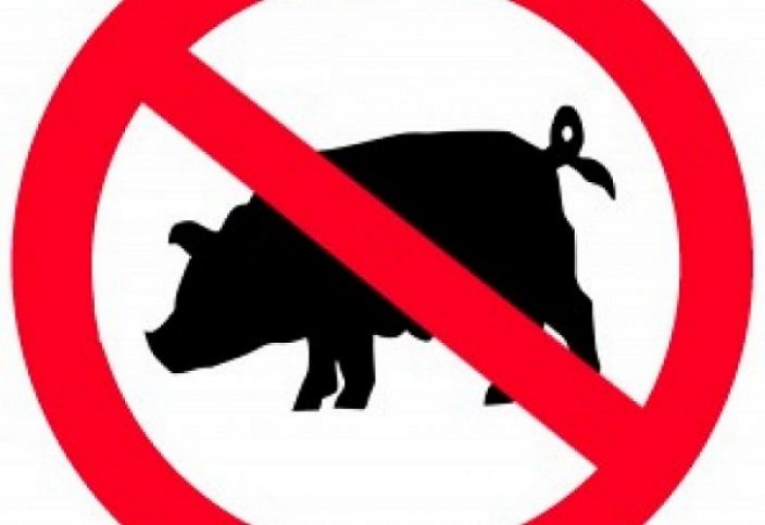 В Татарстане выступают против строительства свинарников