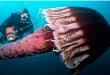 Ғалымдар жаһандағы азық-түлік тапшылығын жоюдың жолын ұсынды (видео)