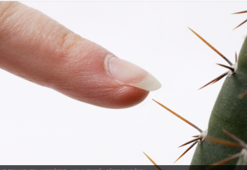 Ғалымдар ауырсыну сезіміне жауапты ағзаны және оны бұғаттайтын тәсілді тапты