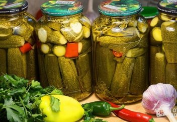 Sina (Китай): как быстро приготовить маринованные огурцы — рецепт очень простой, а огурцы получаются свежими и хрустящими!